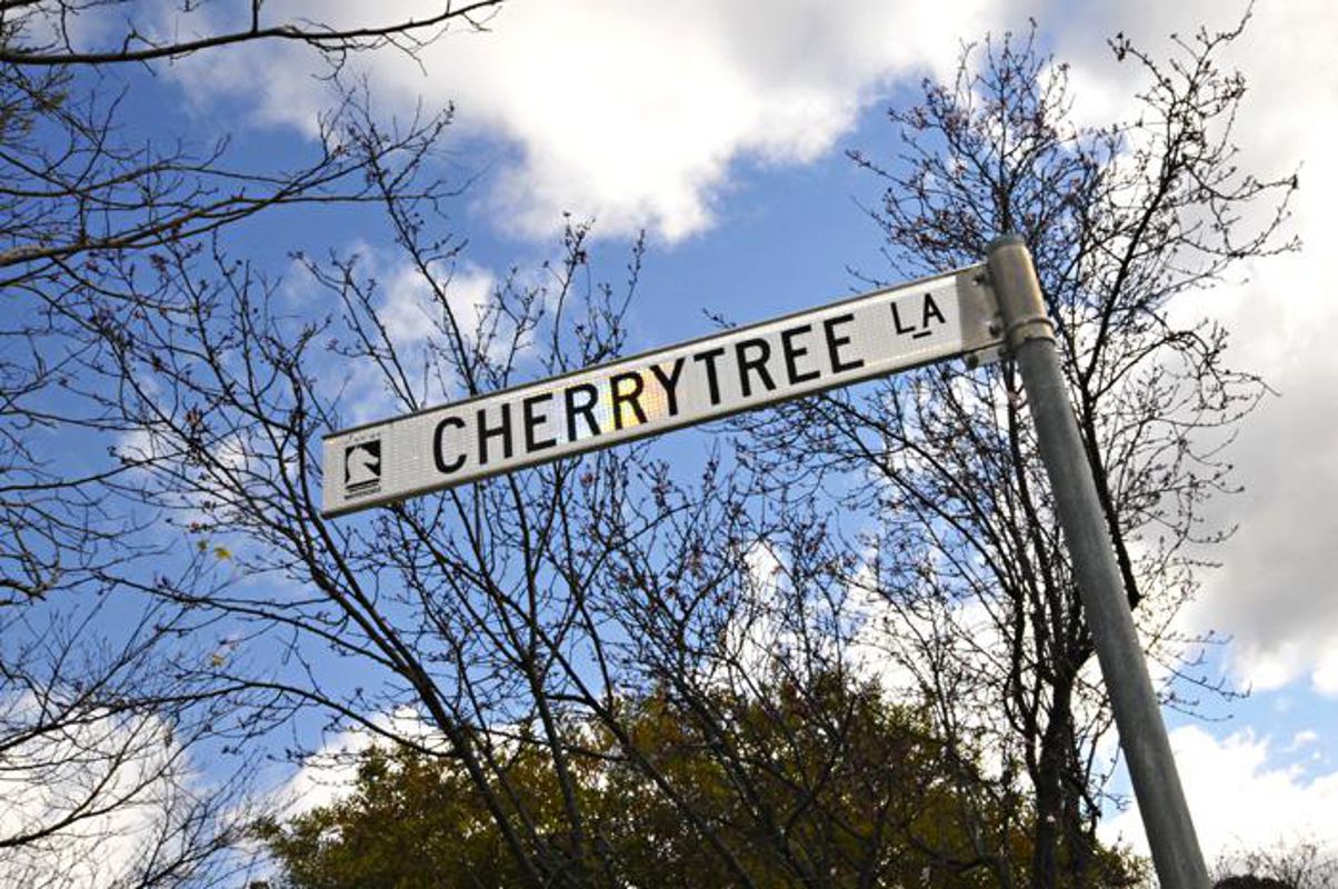 cherrytree lane thonotosassa