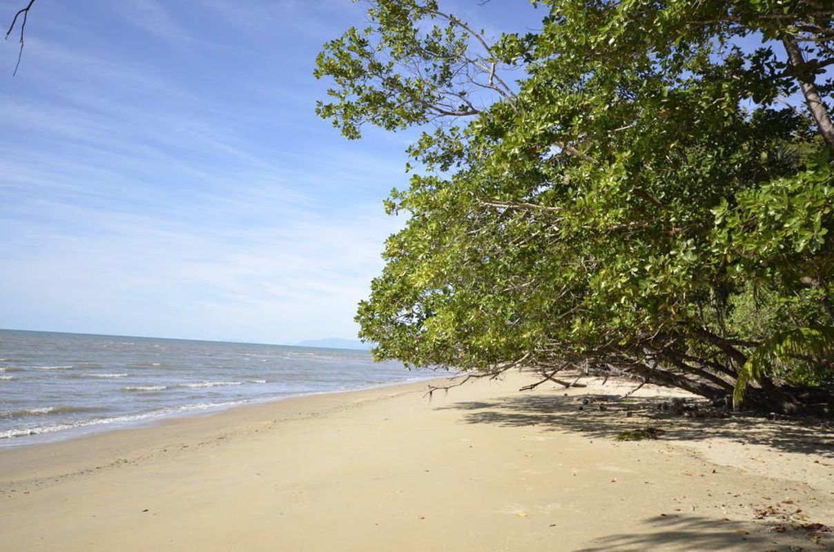 8 Roy Close, WONGA BEACH, QLD, Land For Sale 27 May 2021 realestateVIEW