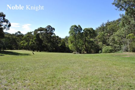 Real Estate For Sale In Jamieson Vic 3723 Apr 2021